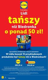 Lidl gazetka Strona 10