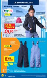 Lidl gazetka Strona 12