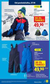 Lidl gazetka Strona 13