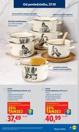 Lidl gazetka Strona 23
