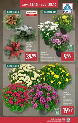 ALDI gazetka (ważność do 25-10)