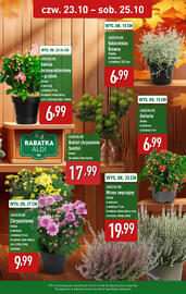ALDI gazetka Strona 2