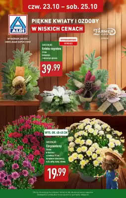 ALDI gazetka (ważność do 25-10)