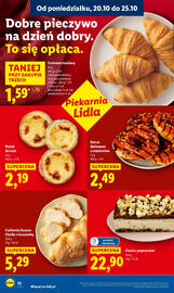 Lidl gazetka Strona 22