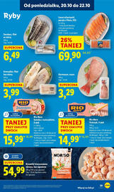 Lidl gazetka Strona 29