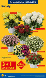 Lidl gazetka Strona 68