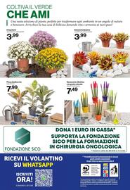 Volantino In'S Mercato Pagina 13