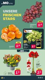 NETTO Prospekt woche 44 Seite 2