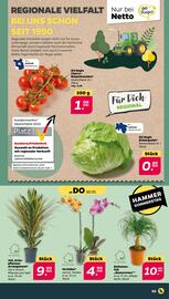 NETTO Prospekt woche 44 Seite 3