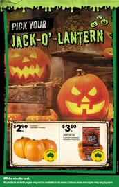 Woolworths catalogue week 43 Page 49