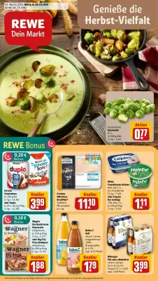Rewe DE folder (geldig t/m 26-10)