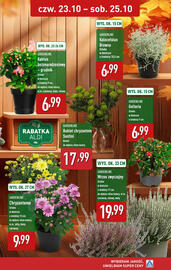ALDI gazetka tydzień 43 Strona 10