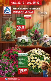 ALDI gazetka tydzień 43 Strona 9