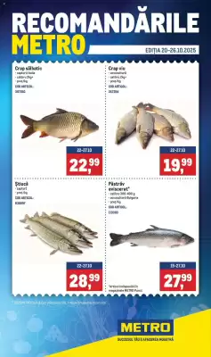 Catalog Metro (valid până la 26-10)