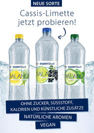 Balance | EiszeitQuell Seite 2
