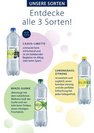 Balance | EiszeitQuell Seite 4