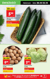Biedronka gazetka Strona 17