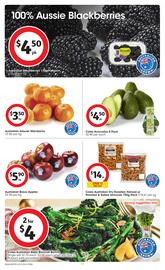 Coles catalogue week 43 Page 17