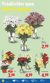 Catálogo Lidl semana 44 Página 14