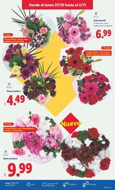 Catálogo Lidl semana 44 Página 15