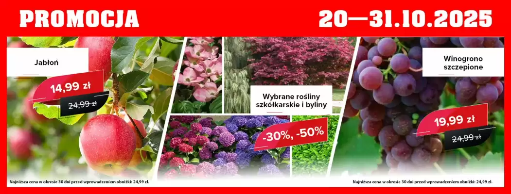 Szarotka gazetka (ważność do 31-10)