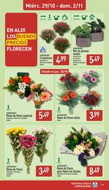 Folleto ALDI semana 44 Página 17