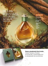 Catálogo Natura Página 55