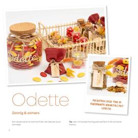 AVA folder Pagina 12