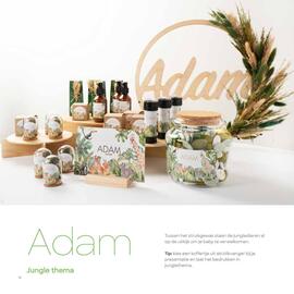 AVA folder Pagina 14