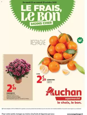 Catalogue Auchan (valable jusqu'au 2-11)