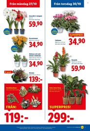 Lidl reklamblad vecka 44 Sida 20