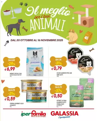 Volantino IperFamila (valido fino al 16-11)