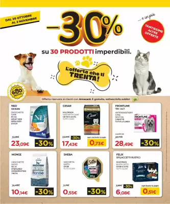 Volantino Arcaplanet (valido fino al 2-11)