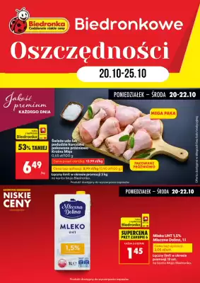 Biedronka gazetka (ważność do 25-10)