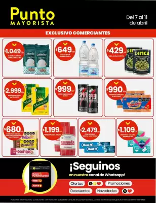 Catálogo Punto Mayorista (válido hasta 3-11)