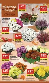 Delikatesy Centrum gazetka tydzień 43 Strona 37
