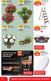 Auchan akciós újság hét 43 Oldal 42