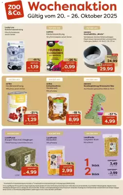 Zoo & Co Prospekt (gültig bis 26-10)