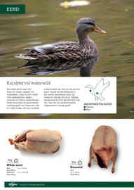 Sligro folder | Wild Pagina 8