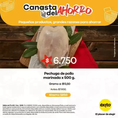 Catálogo Éxito (válido hasta 21-10)