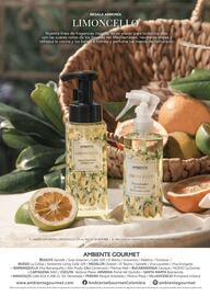 Catálogo Ambiente Gourmet Página 34