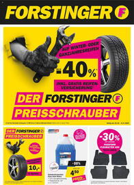 Forstinger Flugblatt Seite 1