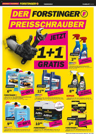 Forstinger Flugblatt Seite 5