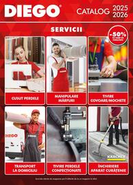 Catalog Diego Pagină 134