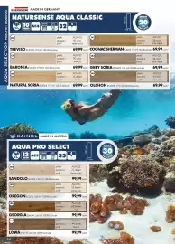 Catalog Diego Pagină 14