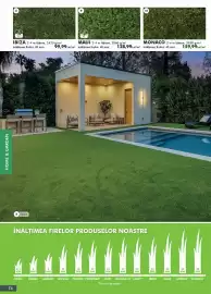 Catalog Diego Pagină 74