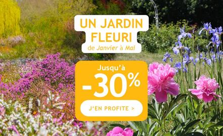 Catalogue Willemse France page 1