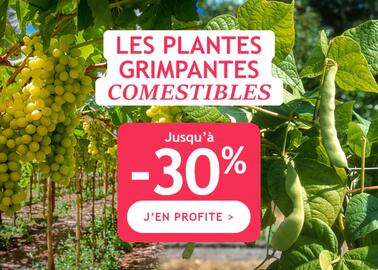 Catalogue Willemse France page 2