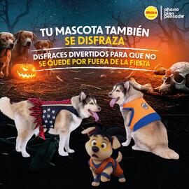 Catálogo Metro Página 3