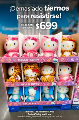 Catálogo Sam's Club (válido hasta 31-10)